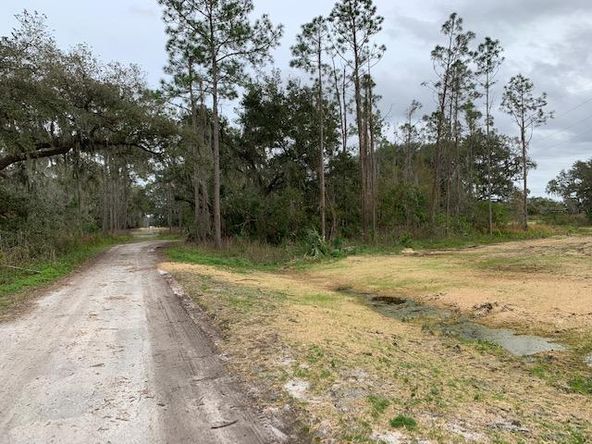 Saddle Creek Commons: 2300 US Highway 17 N, Bartow, FL 33830
